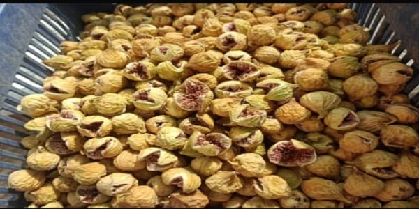 تصویر 3 از انجیر خشک تیزابی برداشت شده از باغ‌ های سنتی